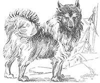 imagette de bas de page no 1710