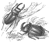 imagette de bas de page no 1712