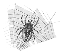imagette de bas de page