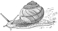 imagette de bas de page