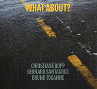 What about, Christiane Bopp (trombone), Bernard Santacruz (contrebasse), Bruno Tocanne (percussions)