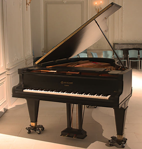 Gaveau 84280,