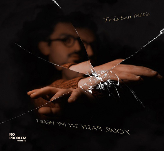 Your Pain Is My Heart (No Problem Music 2024