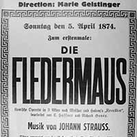 Die Fledermaus