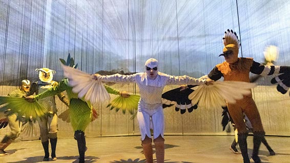 La Conférence des oiseaux. Photographie © D.R.