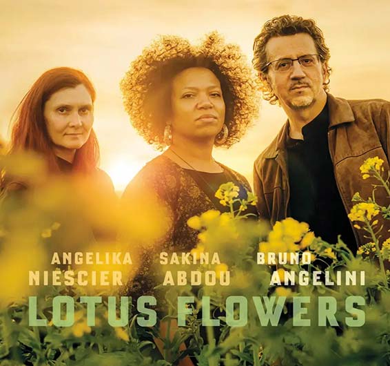 Lotus Flowers (Abalone 2025)